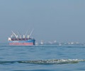 Baltic-index-falls-for-fifth-session-on-weakness-across-vessel-segments-10709.jpg      