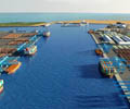 Cargo-handling-at-Qatar-ports-surges-86-in-December-10720.jpg      